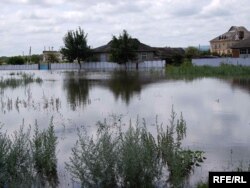 Ташкындаган Прут дарыясы. Молдова тарабы. 08.7.2010.