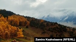 Күзгү Чуңкурчак. Чүй облусу.