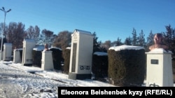 Администрациянын алдында турган айкелдер