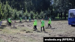 Добраўпарадкаваньне парку. Ілюстрацыйнае фота