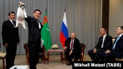 Бердимухаммедов 11-октябрда орус президенти менен Сочиде жолугуп, ага алабай күчүгүн белек кылды.