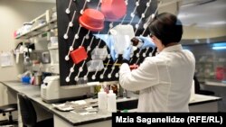 Работы по исследованию заболеваний ведутся в лаборатория Лугара в окрестностях Тбилиси (архивное фото)
