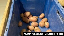 Прылавак з бульбай у адной зь менскіх крамаў, красавік 2025