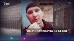 "Нохчо хиларна ву бехке"