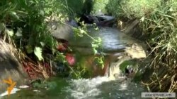 Արարատի մարզում գյուղացիները դժգոհ են ջրօգտագործող ընկերությունից