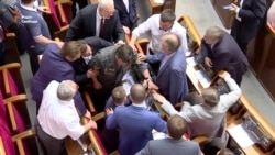 Депутати ухвалили амністію для добровольців (відео)