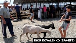 Бишкектеги мал базар.  