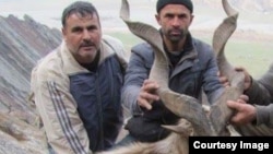 Иллюстративное фото