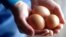 Особливо приголомшливим для споживачів стало те, що вміст отруєних речовин знайшли саме у біояйцях