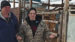 "Малды көбөйтүп, бутубузга турдук". Жети-Өгүздү жердеген Гладченколор