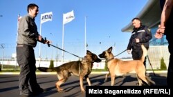 Триша, Джессика, Цезарь и другие четвероногие сотрудники патрульной полиции работают по графику, с перерывами в течение дня и выходными