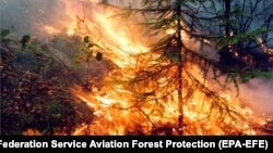 Пожары в сибирских лесах летом 2019 года