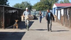 Черкаський комунальний притулок вуличних тварин