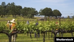 Иллюстративное фото.