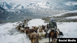 ӨКМ тараткан сүрөт. 