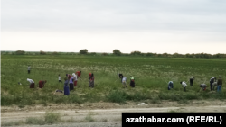 Туркменистан (иллюстративное фото) 