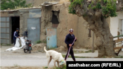 Türkmenistan (illýustrasiýa suraty)