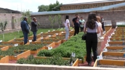 «Գյուղատնտեսությունը առաջնային է թե՛ Հայաստանի, թե՛ Եվրամիության համար». կանաչ արտադրություն՝ Շիրակի մարզում