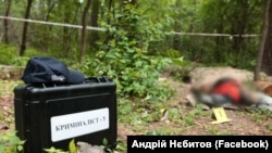 У братській могилі було виявлено тіла сімох людей, кажуть в поліції
