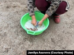 Будалыкта жаандын суусуна кир жуушат.