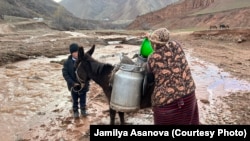 Иллюстрациялык сүрөт.