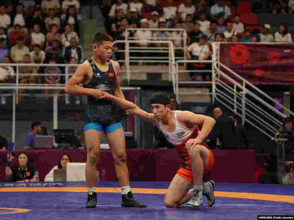 Темирбеков менен Жанышовдон сырткары күрөштүн бул түрүнөн&nbsp;Жантөрө Мирзалиев (60 кг) жана Нурболот Сыргабай уулу (92 кг) чемпионаттын алгачкы күнүндө алтын медал тагынган. Күмүш медалды Кубаныч Аринов (51 кг), коло байгелерди Абдулходжа Абдулходжаев (55 кг) менен Жоомарт Аралов (71 кг) алды.&nbsp; Грек-рим күрөшү боюнча таймаштардын жыйынтыгында Кыргызстандын командасы 182 упай топтоп командалык эсепте 1-орунду ээледи. Кыргызстандык уландар төрт алтын бир күмүш, эки коло алуудан сырткары 4-орунду бир балбан, 5-орунду эки балбан алып, командалык эсепте сап башына чыккан.&nbsp; 2-орунда эки алтын, төрт күмүш, эки коло байге алган Иран (174 упай), 3-орунда эки алтын, бир күмүш жана алты коло байге менен Казакстан (170 упай) жайгашты. &nbsp;