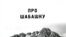 Книга «Про шабашку» — не исследование, а сборник воспоминаний, но поскольку авторы — люди науки, картина у них получается ясная и достаточно объективная