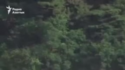 The New York Times: Белый дом снял ограничения на использование дальнобойных ракет Украиной

