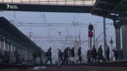 Орусия мыйзамсыз мигранттарды сүрүп чыгарабы?