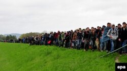 صد ها پناهجو پس از ورود به اسلوونی