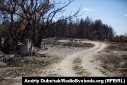 Дорога з лісу та згорілий сарай. Саме з цьго напрямку по селу вдарила лісова пожежа