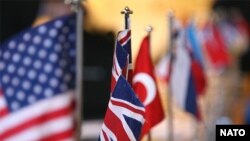 ناتو ائتلافی نظامی متشکل از 26 کشور است.