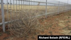 Иллюстративное фото