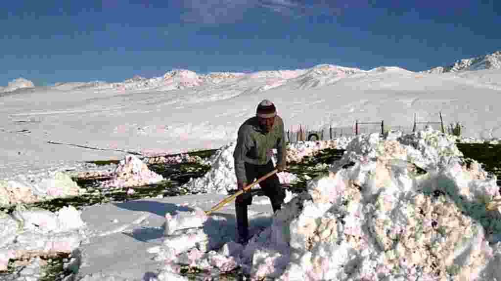Нарын районундагы Кара-Кужур, Солтон-Сары аймагындагы Тетир-Суу деген кичи жайлоосунда тизеден кар, жайдын күнү болсо дагы кадимкидей кыш өкүм сүрүп турат.&nbsp;