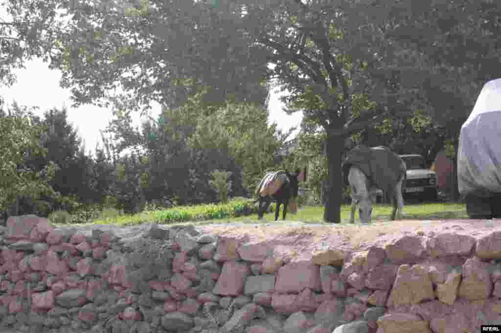 Вақте роҳ нест... #46