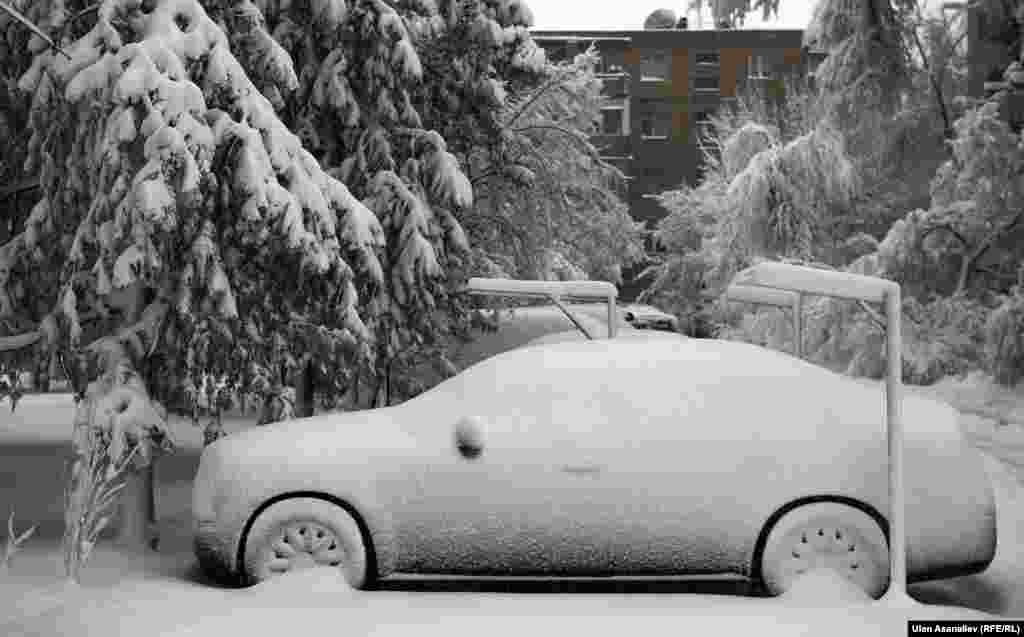 Бишкек шаарынан тышкары Токмок шаарларынын, Чүй жана Талас облустарынын айрым аймактарында электр зымдары карды көтөрө албай үзүлгөн. Ушундан улам өлкөнүн түндүк аймагынын дээрлик жарымы учурда электр энергиясы жок калды.