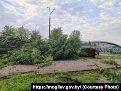 Наступствы шторму ў Магілёве. 10 ліпеня 2025 году