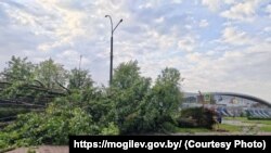 Наступствы шторму ў Магілёве. 10 ліпеня 2025 году