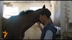 Иноходцы Омурбека Бабанова