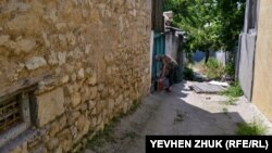 Eski evniñ saibesi ve onıñ köpekleri