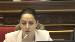 ԱԺ «Բարգավաճ Հայաստան» խմբակցության անդամ Շաքե Իսայան