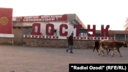 Кыргыз-тажик чек арасы.