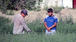 Aşgabatda suw maslahaty boldy, bugdaýy gögermedik daýhanlar agzalmady