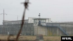 Ҳар йил мустақиллик муносабати билан эълон қилинадиган амнистия билан ўн мингга яқин маҳбус ўзбек қамоғини тарк этади.