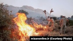 محیط‌بانان در تلاش برای مهار آتش در منطقه حفاظت‌شده ماله گاله در استان فارس