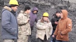 Миңкуштуктар көмүр казган компанияларга нааразы