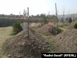 Қабри ҳалокшудагон дар ин садамаи нақлиётӣ.