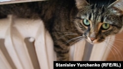 Уряд очікує, що фінансування також дасть змогу вчасно підготувати запаси газу до зими