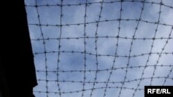 عکس تزئینی است