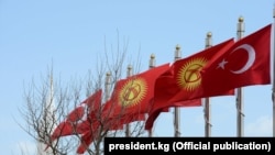 Иллюстрациялык сүрөт.